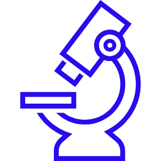 Lab